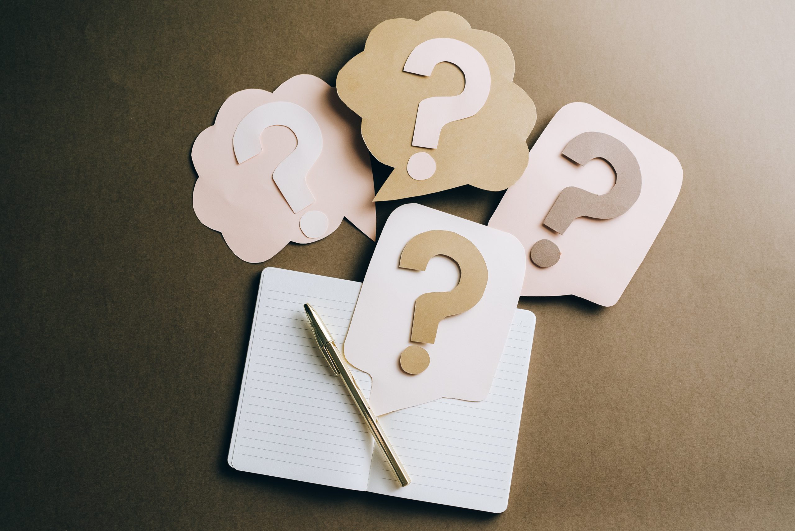 Abschluss: FAQ und Ansprechpartner*innen